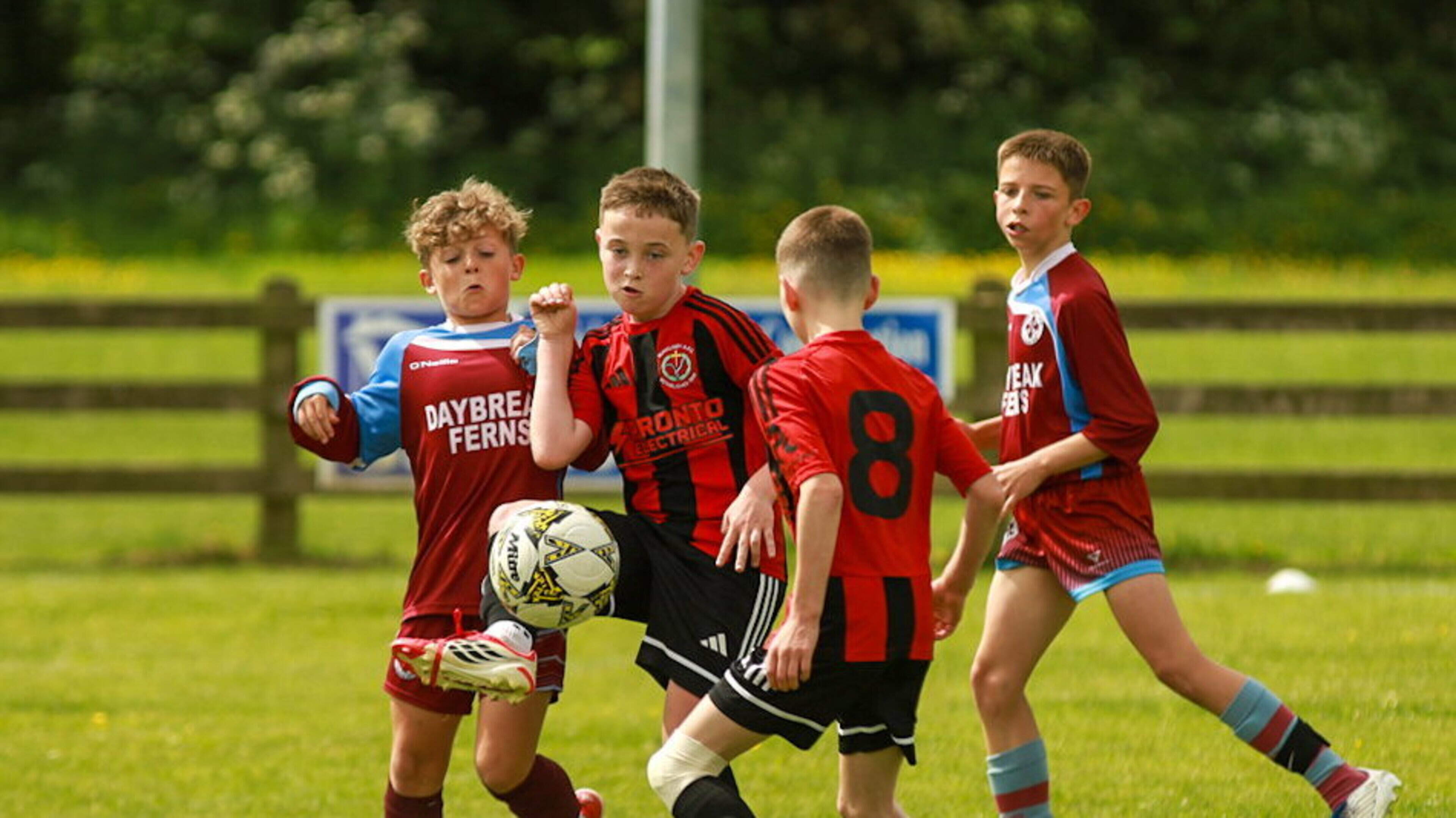 Bunclody bring Under-11 Cup home after foiling Ferns United
